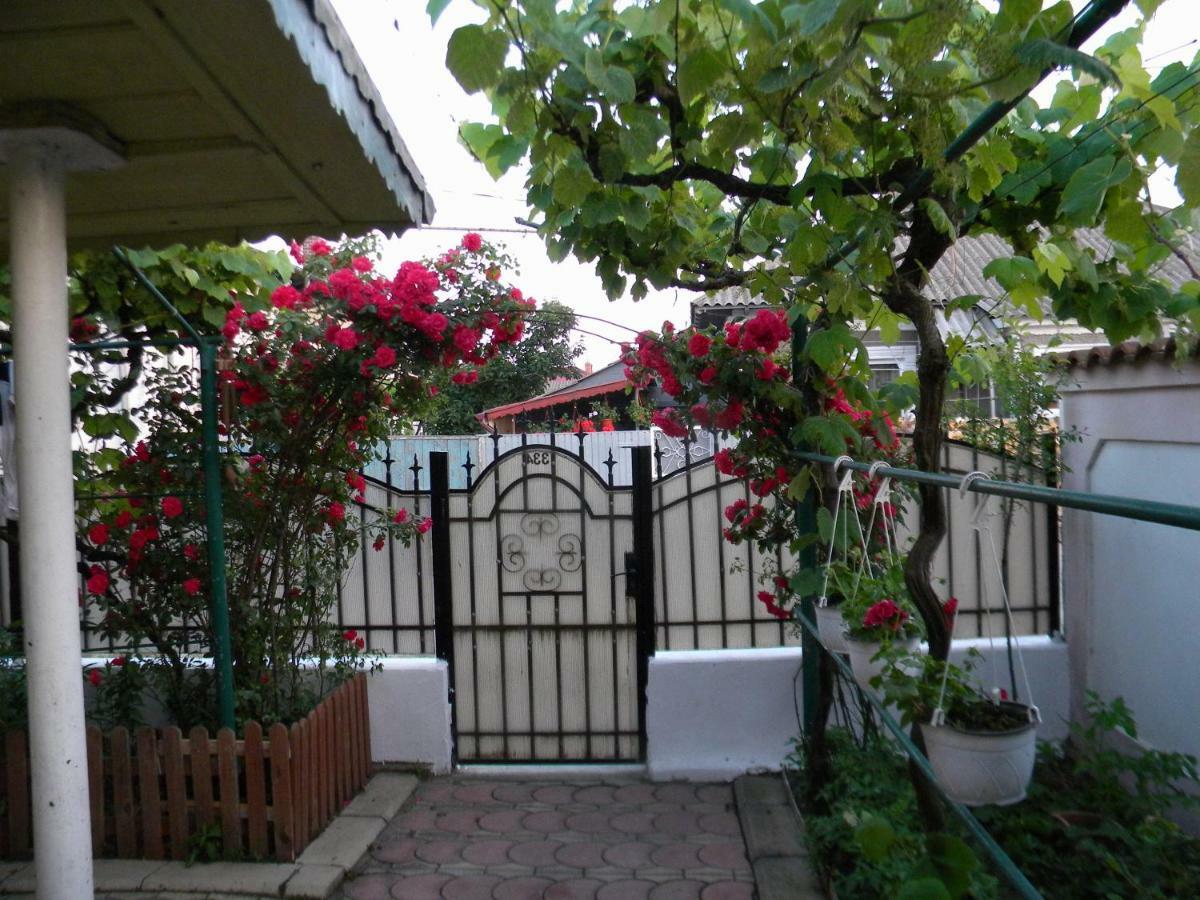 Hôtel Delta Florilor à Sulina Extérieur photo